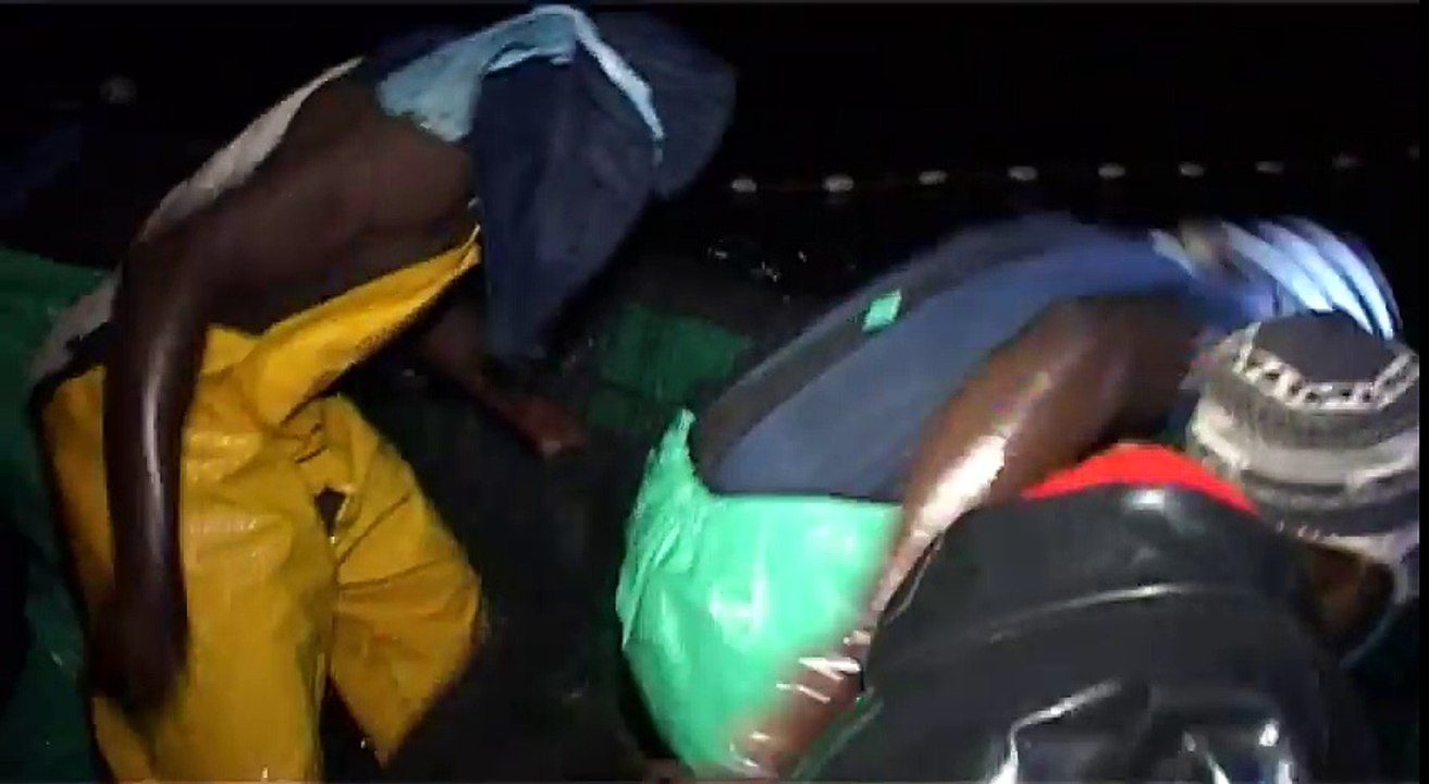 Poisson d’or, poisson africain