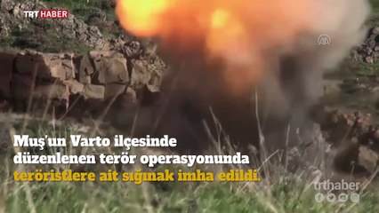 Muş'ta PKK/KCK'ya ait çok sayıda silah ve mühimmat ele geçirildi