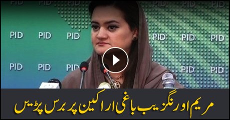 Marriyum Aurangzeb lashes at party defectors, disgruntled leaders