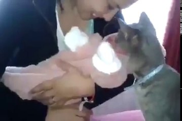 La réaction de ce chat qui découvre bébé est adorable