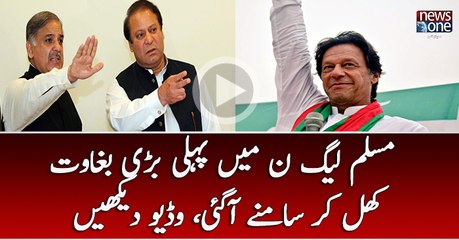 The first major insurgency was opened in the PMLN, Watch video