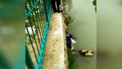 Dereye düşen yavru köpeği itfaiye kurtardı - ADANA