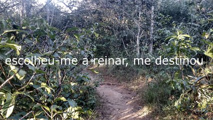 Feliz e Abencoado #Bookafe Brasil