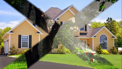 Green World of Key West - (305) 998-9510