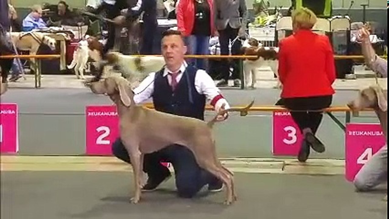 Athéna CACL Luxembourg 2018