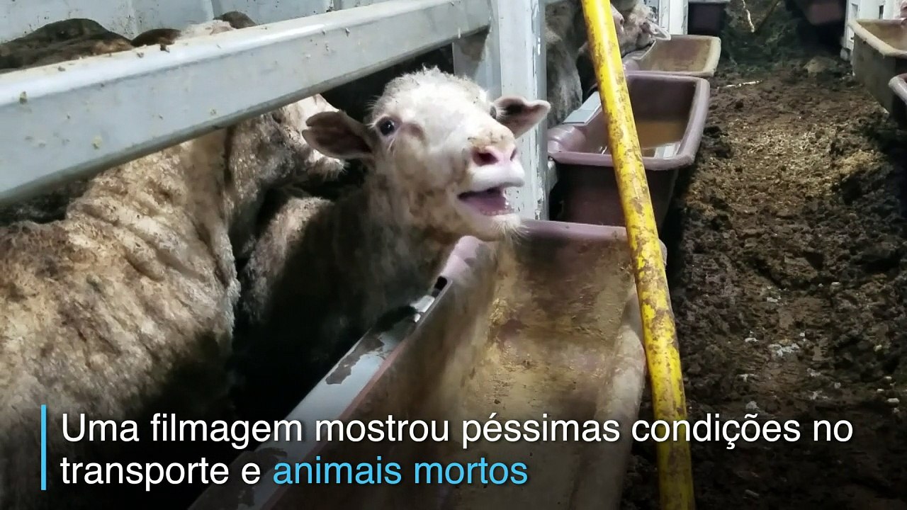 Carga da morte