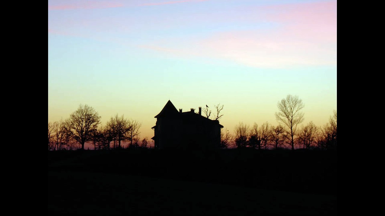 Chauves-souris  Halloween