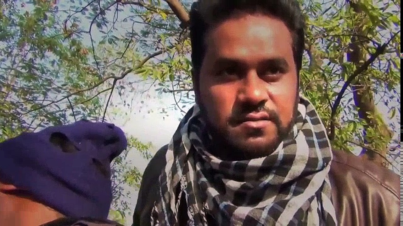 Tiger hai Zinda /Zinda hai chotu dada comedy videos funny Tiger | A little bit of this a little bit of that