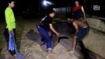 Ambassadors bless births of two elephant newborns in Thailand