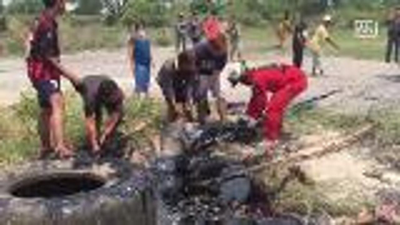 Cows rescued from falling into tarmac pits
