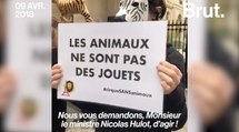France : ces militants ne veulent plus d'animaux dans les cirques