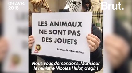 France : ces militants ne veulent plus d'animaux dans les cirques
