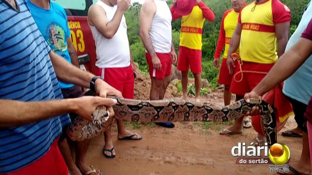 Homem é atacado por jibioa em rio onde menina se afogou na região de Sousa