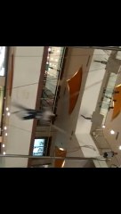 bungee jumping By Sachin choudhary on trempling || Sachin Stunts On Trampling