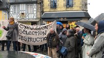 Notre-Dame-des-Landes : manifestation de soutien à Quimper