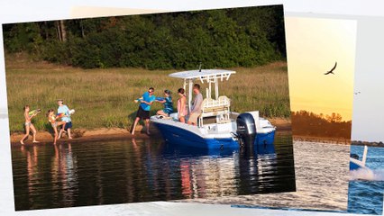 Stingray  236CC Deck Boat