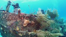 Wreck Diving in the Bahamas with Stuart Cove's