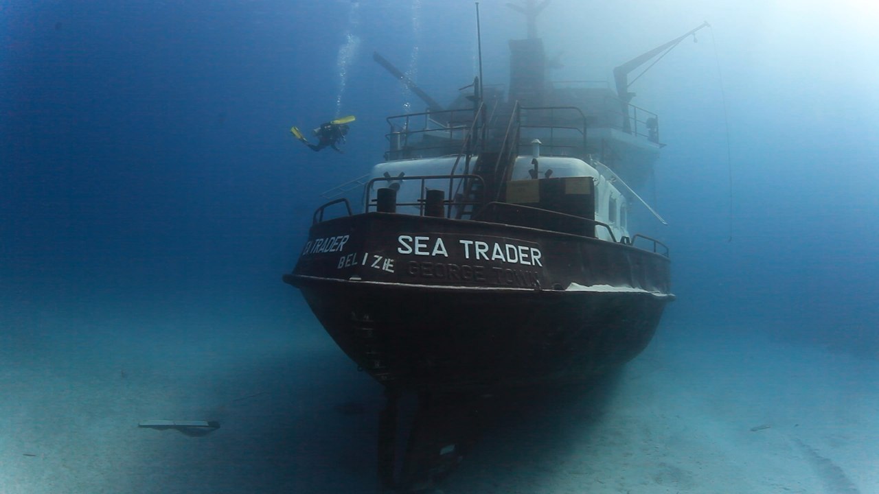 Wreck Diving in the Bahamas with Stuart Cove's