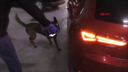 Bolu-Havayolu Şirketinin Kabin Memuru, 2 Milyon Liralık Uyuşturucuyla Yakalandı