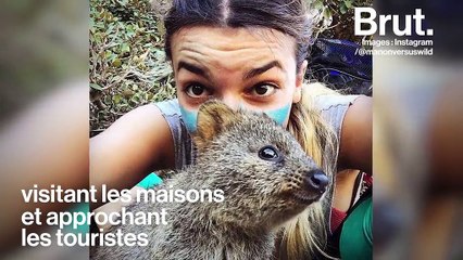 L'animal le plus heureux du monde