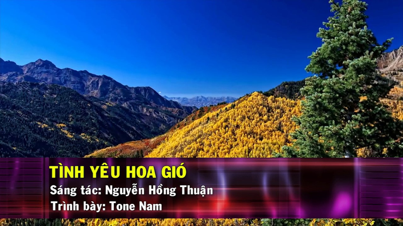 Tình Yêu Hoa Gió (Karaoke Beat) - Tone Nam
