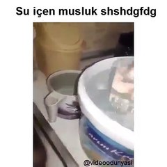 Kana kana su içen musluk