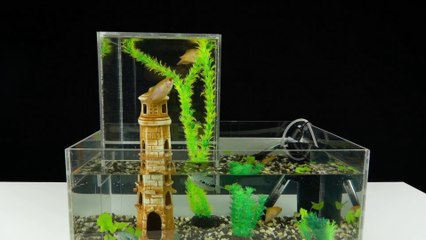 Comment fabriquer un aquarium à 2 étages qui "sort de l'eau"