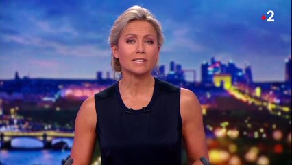 Notre-Dame-des-Landes : les zadistes déterminés à rester et reconstruire