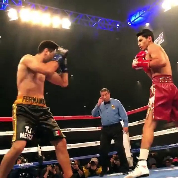 Boxing Knock out_HD
