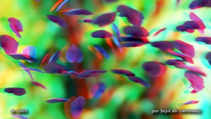 Violeta - Guitarra Romántica de la Música