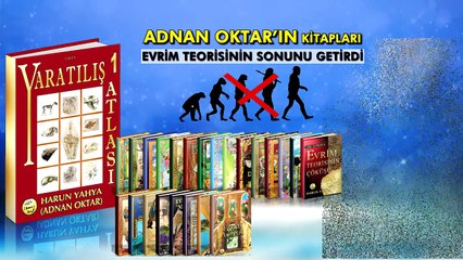 Adnan Oktar'ın İstanbul'a gelişi ve ardından geçen 40 yılda yaşananlar
