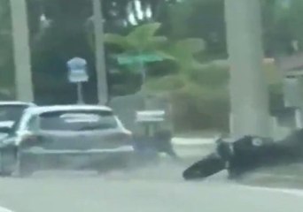 Sarasota Sheriff Hunts Driver Filmed Ramming Motorcyclist
