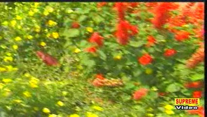 Chal Saali Tane Ghumadu || Superhit Haryanvi Song || Surender Romeo || Pannu Films