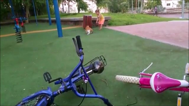 Ce chat va avoir sa vengeance sur cette fillette qui lui marche dessus