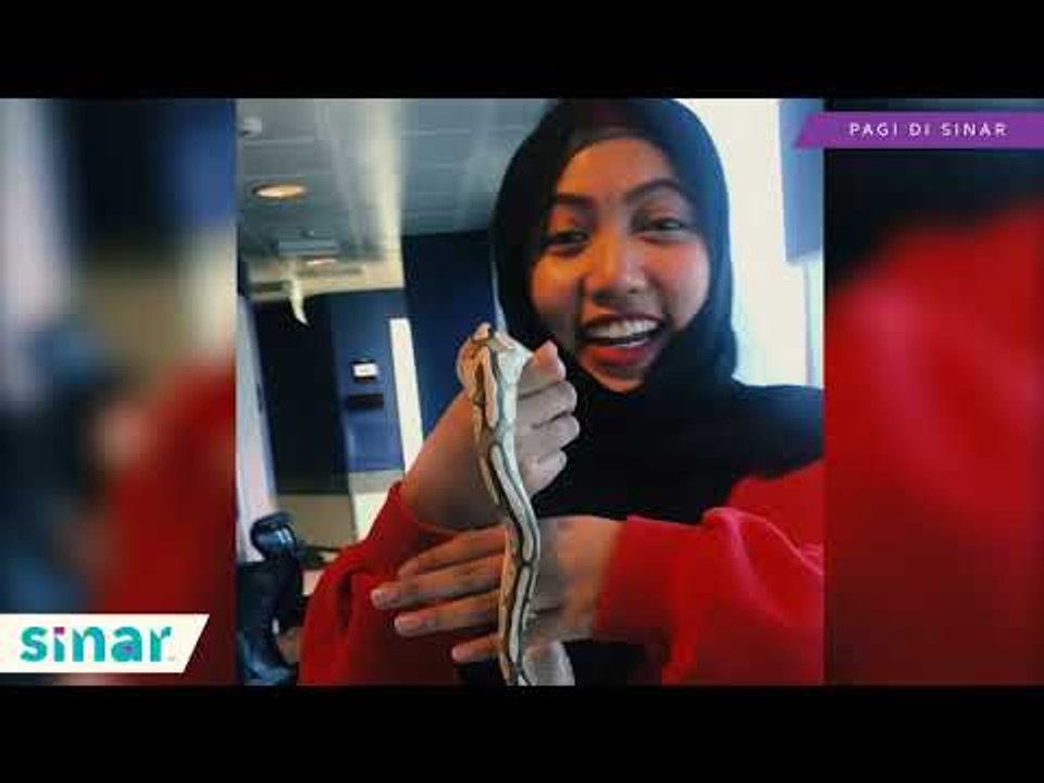 Jep Sepahtu Kena Prank Dengan Ular