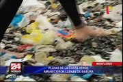 Miraflores: basura y animales muertos en playas de la Costa Verde