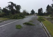 Tornado Hits Taranaki, Damages Houses