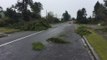 Tornado Hits Taranaki, Damages Houses