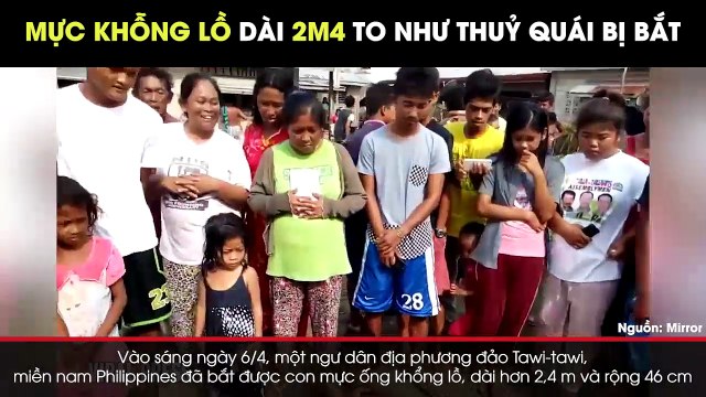 Ly kỳ con mực khổng lồ dài 2,4 mét to như thủy quái bị bắt khiến người dân thích thú quan sát