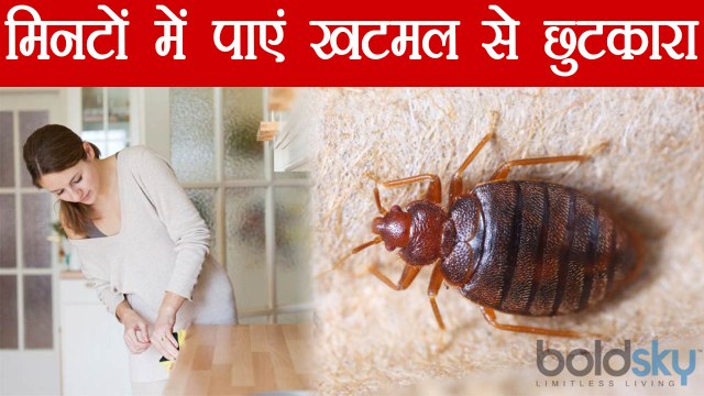 Bedbugs Treatment | खटमल से छुटकारा पाना है तो अपनाएं ये अचूक उपाय | Boldsky