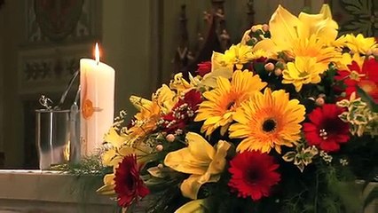 中井川正男の動画 Dailymotion