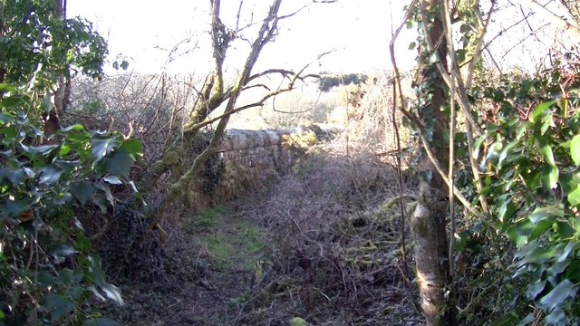 Exploring the old Helston railway line - East Side