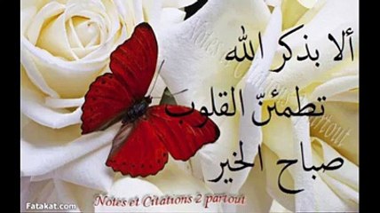 WhatsApp Video 2018-02-19 at 4.49.52 AM