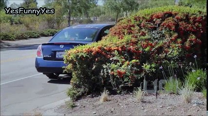 Gold Digger Girlfriend Cheats on Boyfriend for Money! (Social Experiment) | Funny Prenk's and Funny Videos