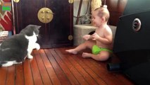 Funny Babies Laughing Hysterically at Cats Compilation ★ Best Funny Babies Videos  ...