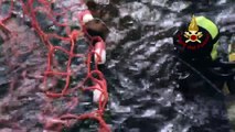BRINDISI (BR) - Salvataggio tartaruga marina