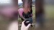 Hilarious moment horse discovers his distaste for coffee