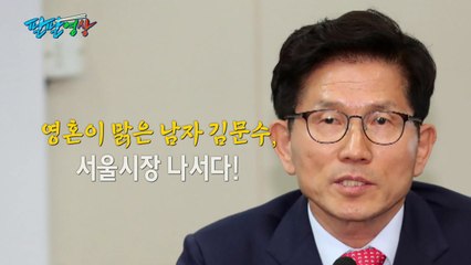 [팔팔영상] '영혼이 맑은 남자' 김문수, 서울시장 나서다! / YTN