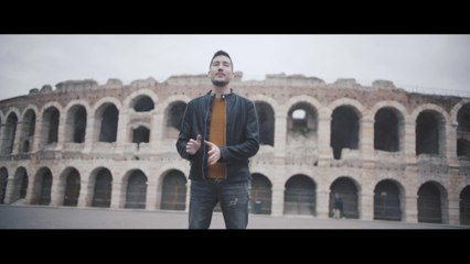 Pál Dénes - Tulipán
