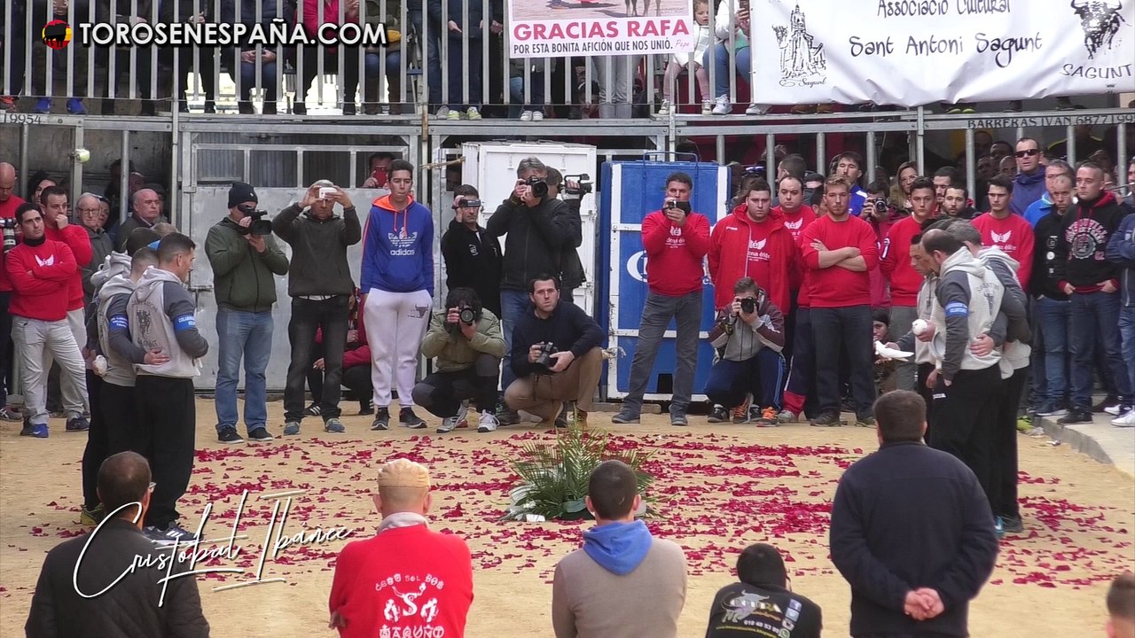 10:57 SAGUNTO ( V ) 27-1-2018 TOROS CERRILES DE EL SOLDADO Y BARCIAL . EMOTIVO OMENAJE A RAFA Juanbautista Dominguez 14 mil visualizaciones  18:30 toros sueltos 2017 kevim110 101 mil visualizaciones  29:22 ¡ESTO ES LA CAPITAL DEL TORO! MEJORES MOMENTOS